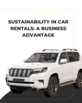 Rent a car