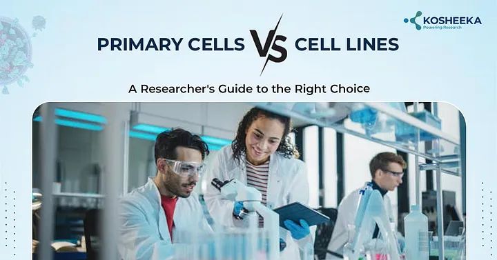 Primary Cells vs. Cell Lines