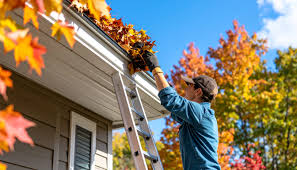 Gutter Cleaning Winnipeg
